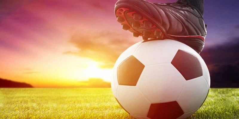 Top game cá cược thể thao trực tuyến hot nhất tại Rikvip